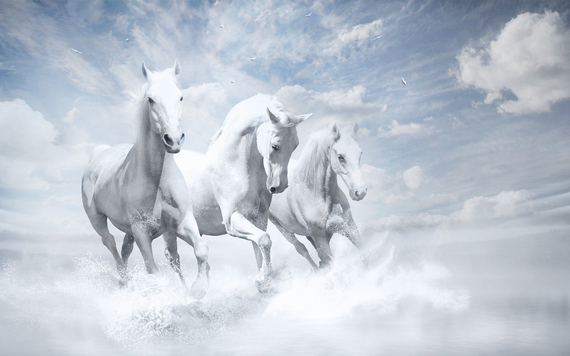 Image result for christ on white horse